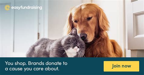 charities for cats|pet charity organizations.